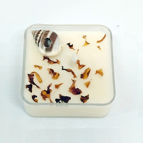 Combo - Invisible Energy Cleanser + Abundance Candle + Nazar Cleanser Candle